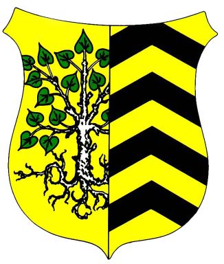 Wappen von Nauheim (Hünfelden)/Arms (crest) of Nauheim (Hünfelden)