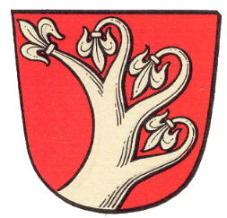 Wappen von Wellerode/Arms (crest) of Wellerode