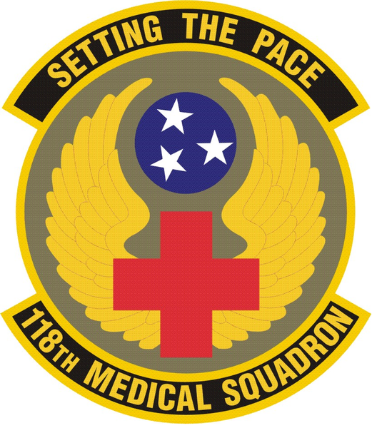 File:118th Medical Squadron, Tennessee Air National Guard.png