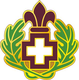 File:344th Combat Support Hospital, US Army.jpg
