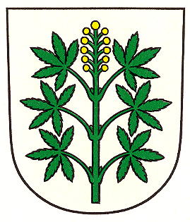 Wappen von Wangen-Brüttisellen/Arms of Wangen-Brüttisellen