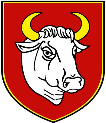 Coat of arms (crest) of Człuchów