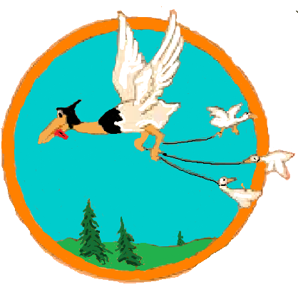 File:38th Troop Carrier Squadron, USAAF.png