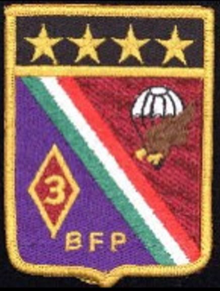 File:3rd Parachute Fusiliers Battalion, Mexican Air Force.jpg
