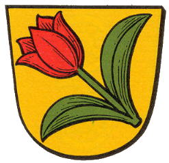 Wappen von Oberneisen