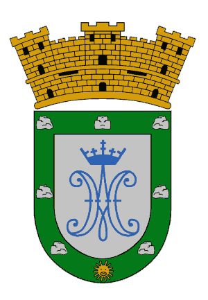 Arms of Las Piedras