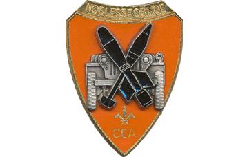 File:Reconnaissance and Support Company, 67th Infantry Regiment, French Army.jpg