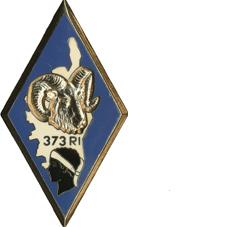 File:373rd Infantry Regiment, French Army.jpg