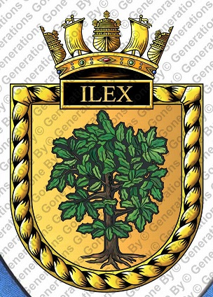 Coat of arms (crest) of the HMS Ilex, Royal Navy