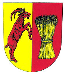 Coat of arms (crest) of Starý Jičín