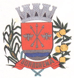 Arms (crest) of Borborema (São Paulo)