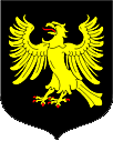 File:Eagle rising wings elevated displayed.gif