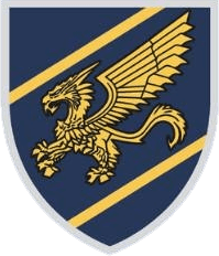 File:Consolidated Rifle Brigade, Ukrainian Air Force.png
