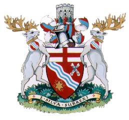 Arms (crest) of Grand Falls-Windsor