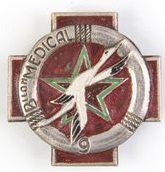 File:9th Medical Battalion, French Army.jpg