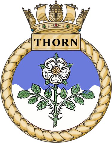 File:HMS Thorn, Royal Navy.jpg