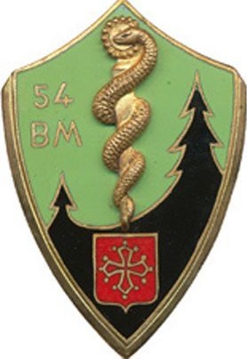 Blason de 54th Medical Battalion, French Army/Arms (crest) of 54th Medical Battalion, French Army