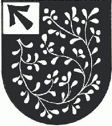 Wappen von Strallegg / Arms of Strallegg