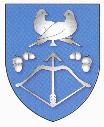 Arms of Drahichyn