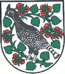 Wappen von Haslau bei Birkfeld/Arms of Haslau bei Birkfeld