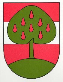 Wappen von Dornbirn/Arms (crest) of Dornbirn