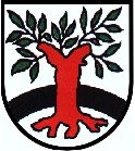 Wappen von Surwold/Arms of Surwold