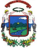 Coat of arms (crest) of Vásquez de Coronado