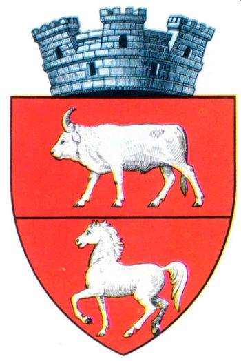 Stema Săveni (Botoșani)