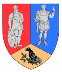 Arms (crest) of Hunedoara (county)