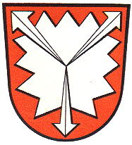Wappen von Grafschaft Schaumburg/Arms (crest) of Grafschaft Schaumburg