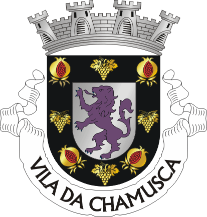 Brasão de Chamusca (city)