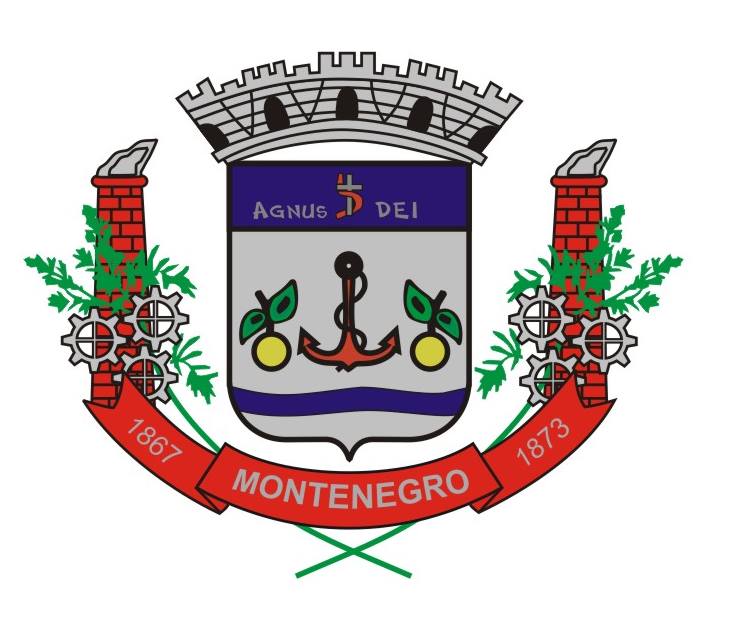 Arms of Montenegro (Rio Grande do Sul)