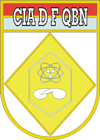 File:Chemical, Biological and Nuclear Defence Company, Brazilian Army.png