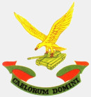 Coat of arms (crest) of the No 7 Squadron, South African Air Force