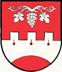 Wappen von Hohenbrugg-Weinberg/Arms of Hohenbrugg-Weinberg
