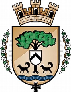 Escudo de Avellaneda (Santa Fé)/Arms (crest) of Avellaneda (Santa Fé)