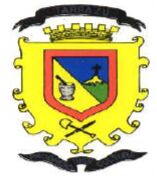 Arms of Tarrazú