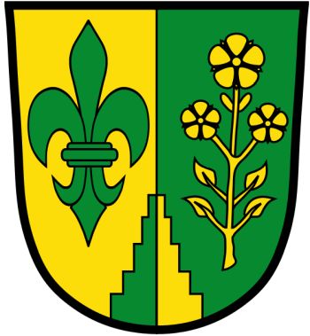 Wappen von Binswangen/Arms (crest) of Binswangen