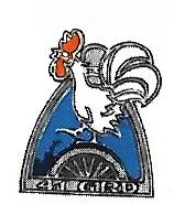 Coat of arms (crest) of the 41st Infantry Division Reconnaissance Group. French Army
