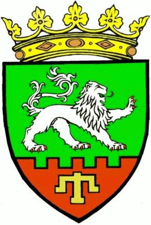 Coat of arms of Taraclia (district)