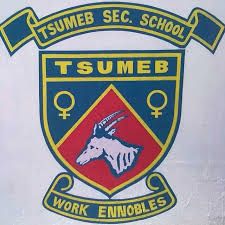 File:Tsumeb Secondary School.jpg