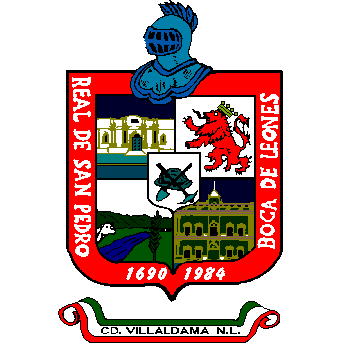 Coat of arms (crest) of Villaldama