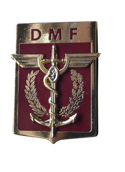 File:Medical Direction of the Forces, France.png