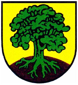 Wappen von Rauschengesees/Arms of Rauschengesees