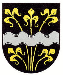 Wappen von Rodenbach (Ebertsheim)/Arms (crest) of Rodenbach (Ebertsheim)