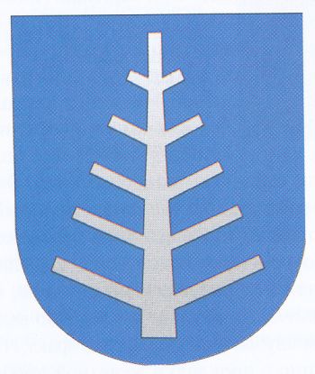Arms of Vassilyevichy