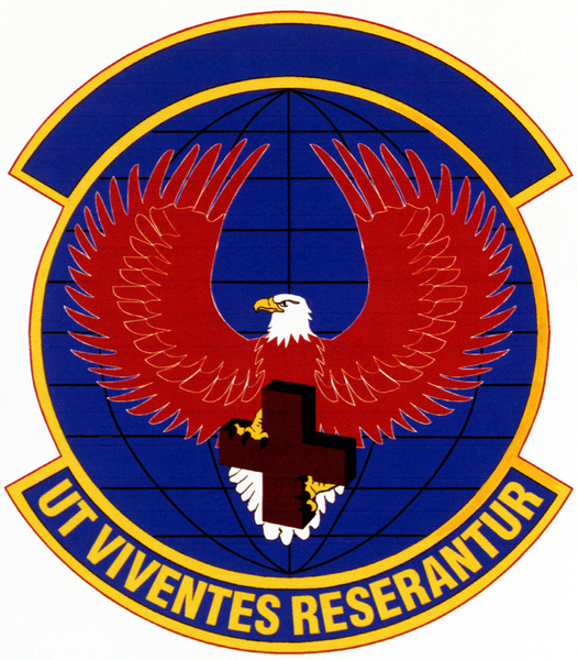 File:146th Aeromedical Evacuation Squadron, California Air National Guard.png