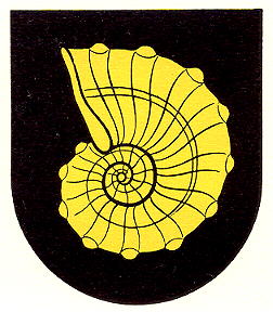 Wappen von Bronschhofen/Arms (crest) of Bronschhofen