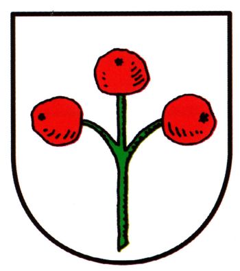 Wappen von Unterschwarzach (Schwarzach)/Arms (crest) of Unterschwarzach (Schwarzach)