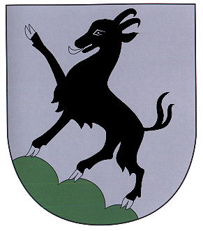 Wappen von Kitzbühel/Arms (crest) of Kitzbühel